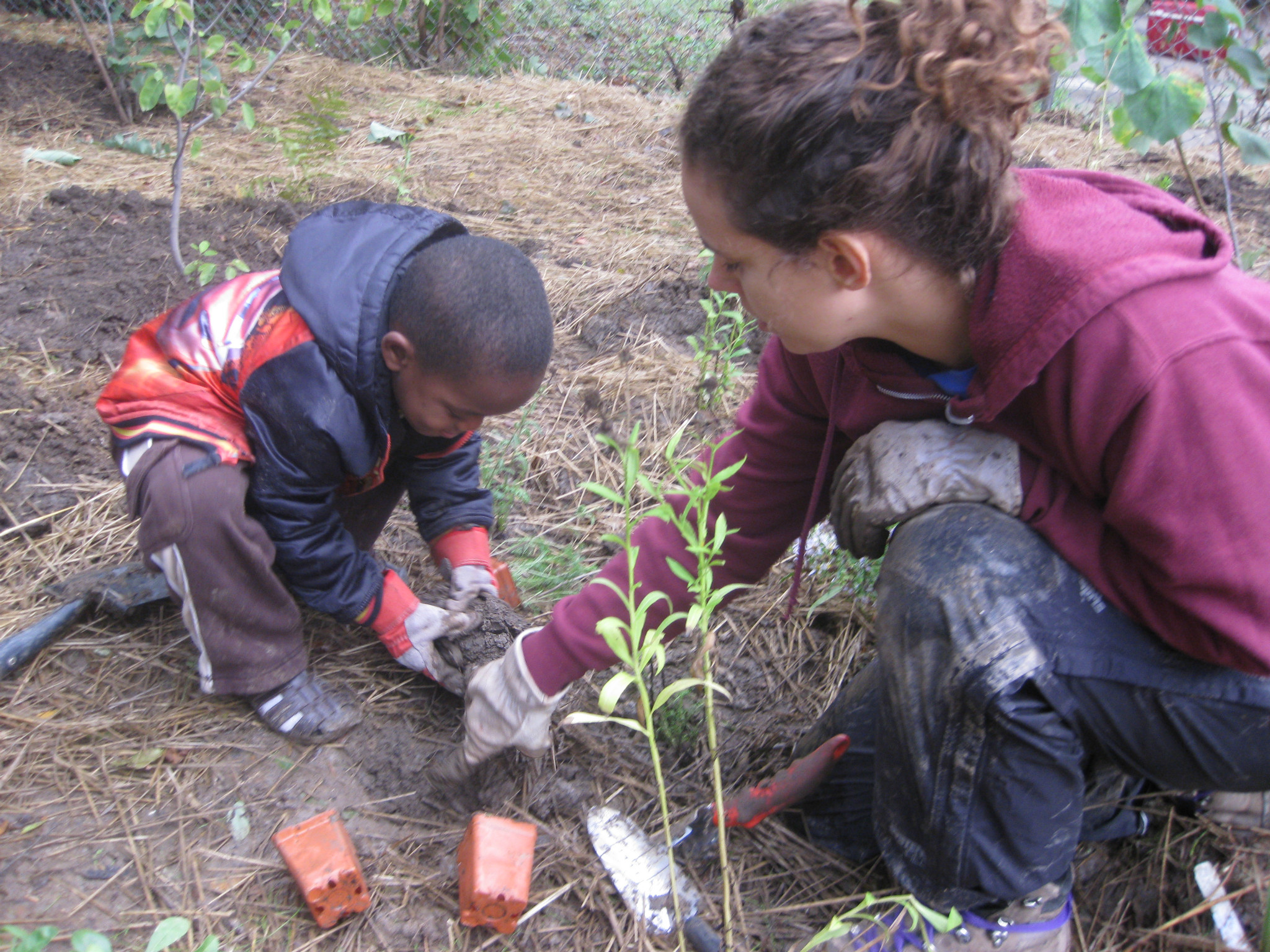 Planting flowers, changing lives