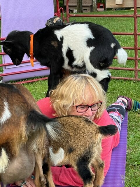 Goat Yoga near Portland, ME