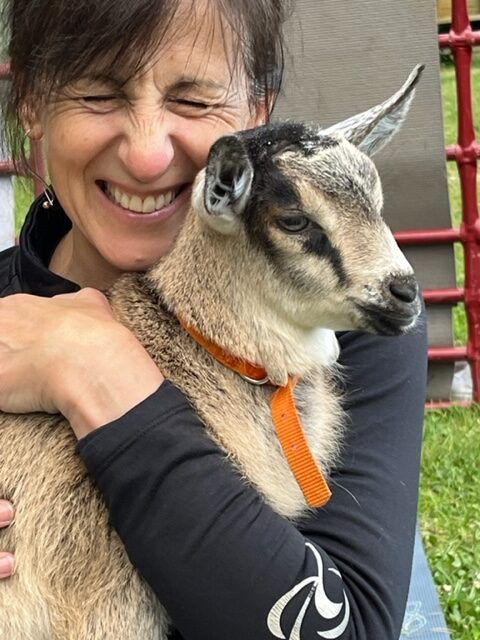 Goat Yoga is the Best Medicine