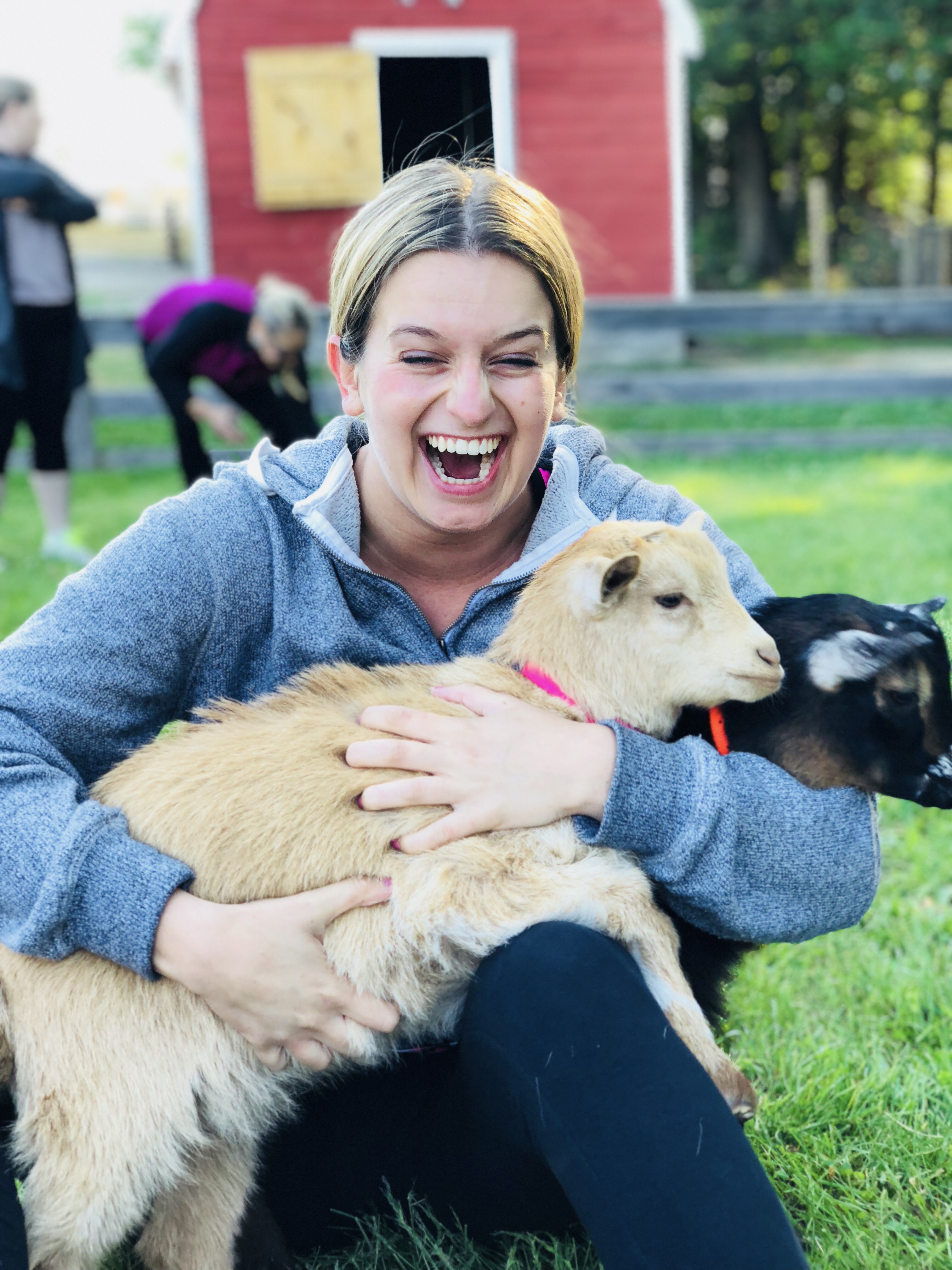Goat Yoga at Smiling Hill Farm in Maine