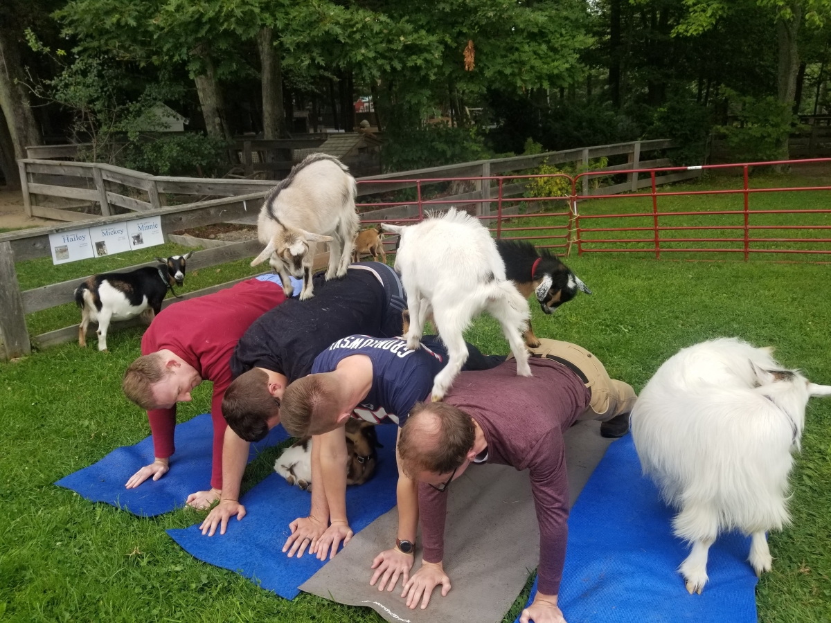 Private Goat Yoga
