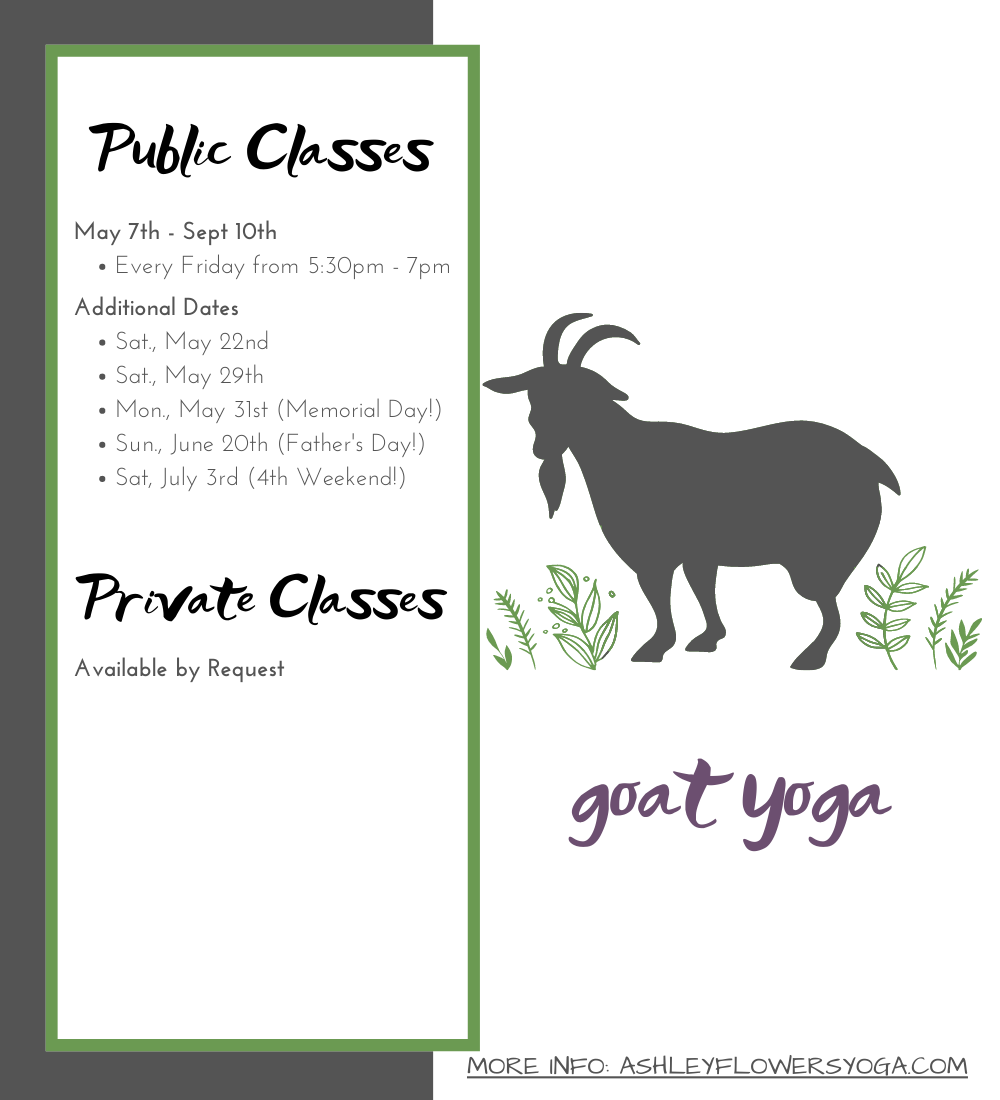 Goat Yoga at Smiling Hill Farm