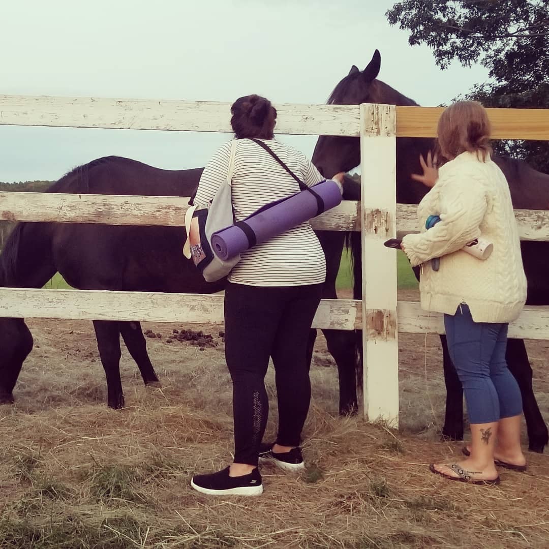 Horse Yoga with Ashley Flowers Yoga at the Maine State Society for the Protection of Animals