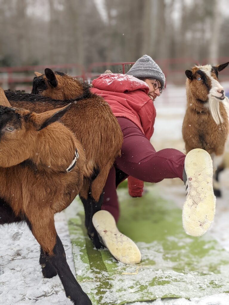 Winter Goat Yoga