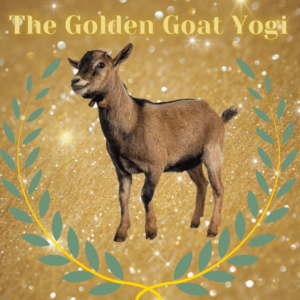 Register to be the Golden Goat Yogi