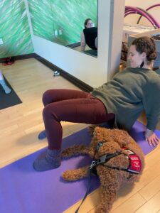 Therapy Dog Yoga