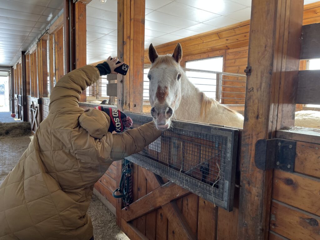 Horse Yoga in the Barn