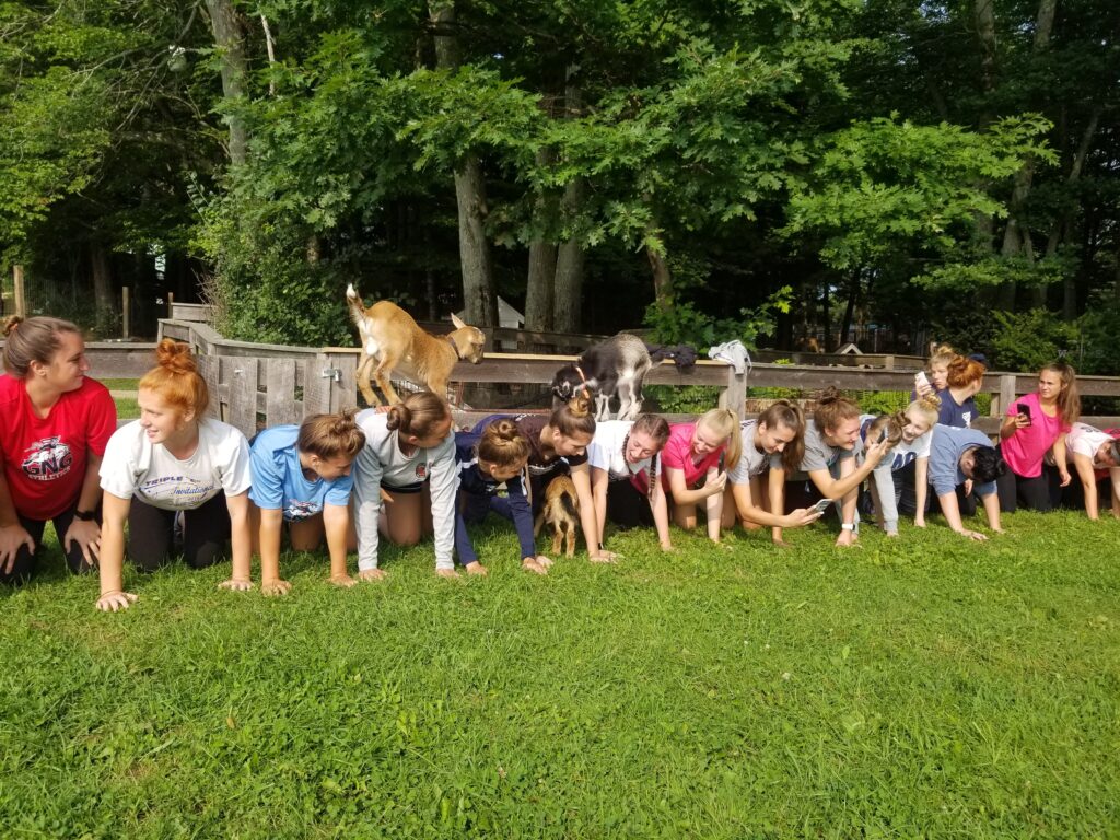 High School Sports Team at Goat Yoga