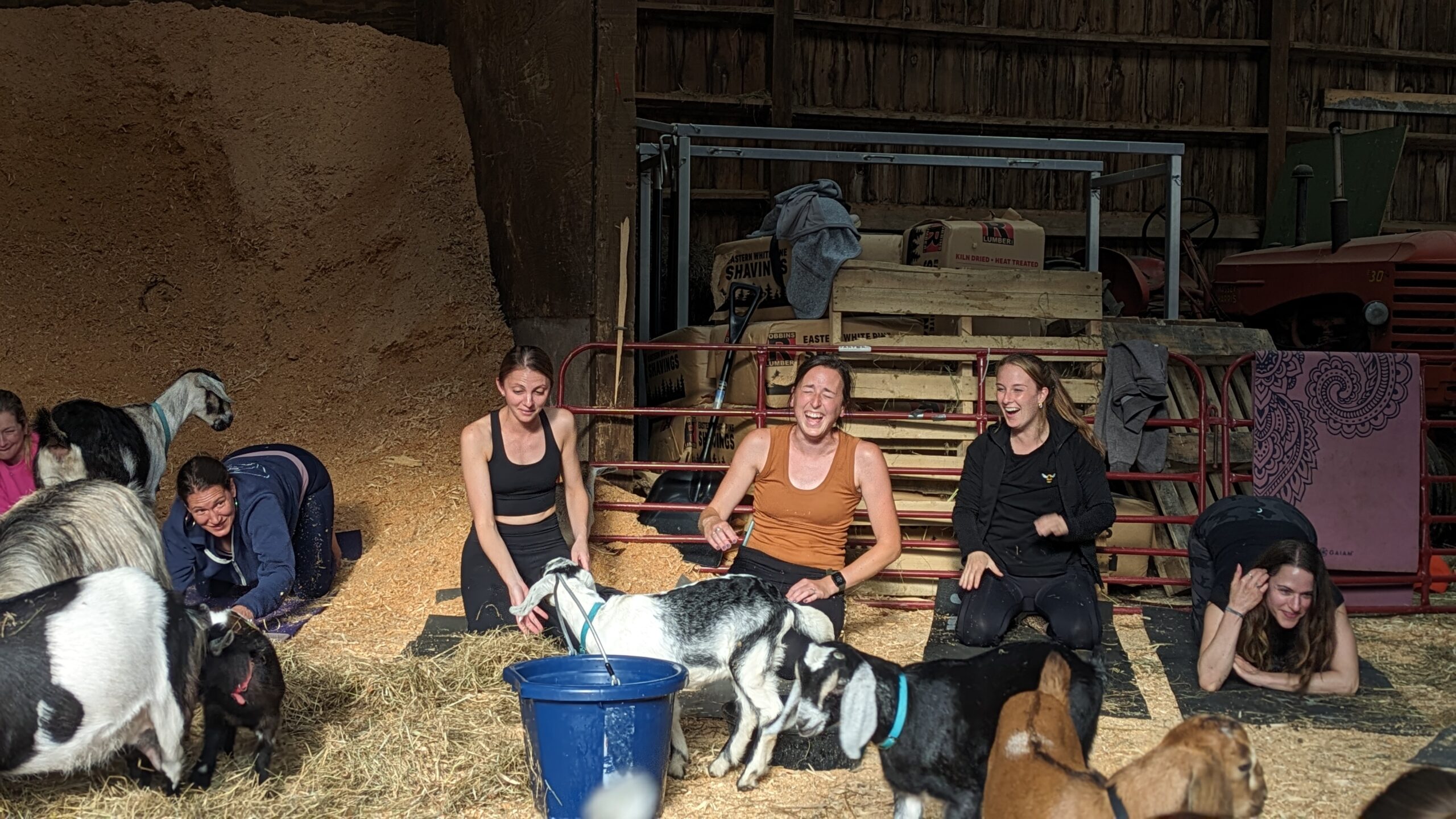 Rainy Day Goat Yoga Bacheloretty Party